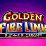Game Slot Golden Fire Link Buchae Blossom